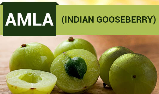 AMLA (INDIAN GOOSEBERRY) – AN ANCIENT SUPER BERRY