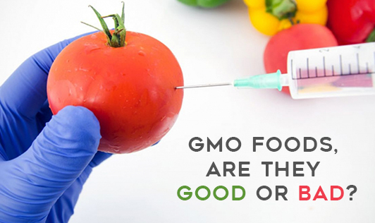 Gmo Foods Are They Good Or Bad The Wellness Corner 0882