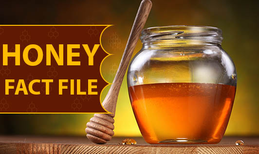 Honey: Fact File