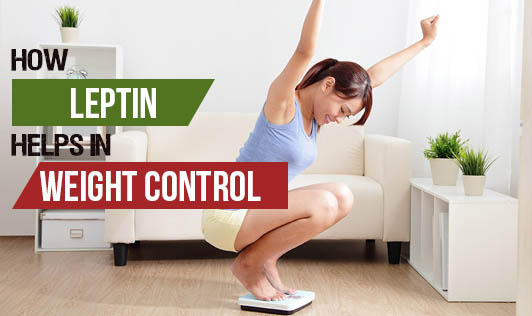 How Leptin Helps in Weight Control