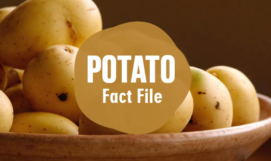 Potato: Fact File