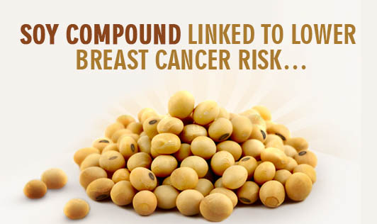 Soy compound linked to lower breast cancer risk…