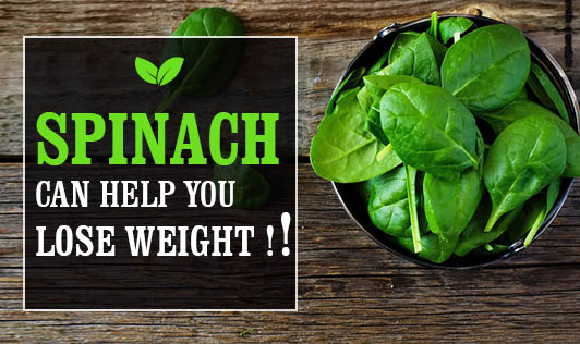 Spinach Can Help You Lose Weight !!