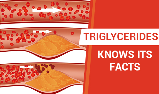 Triglycerides - Knows Its Facts