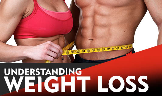 Understanding Weight Loss 