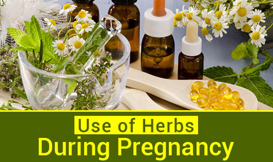 use-of-herbs-during-pregnancy-the-wellness-corner