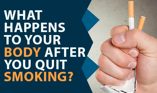 What Happens To Your Body After You Quit Smoking The Wellness Corner