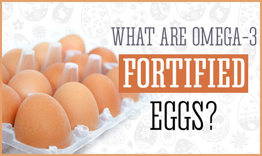 What are Omega 3 fortified eggs The Wellness Corner